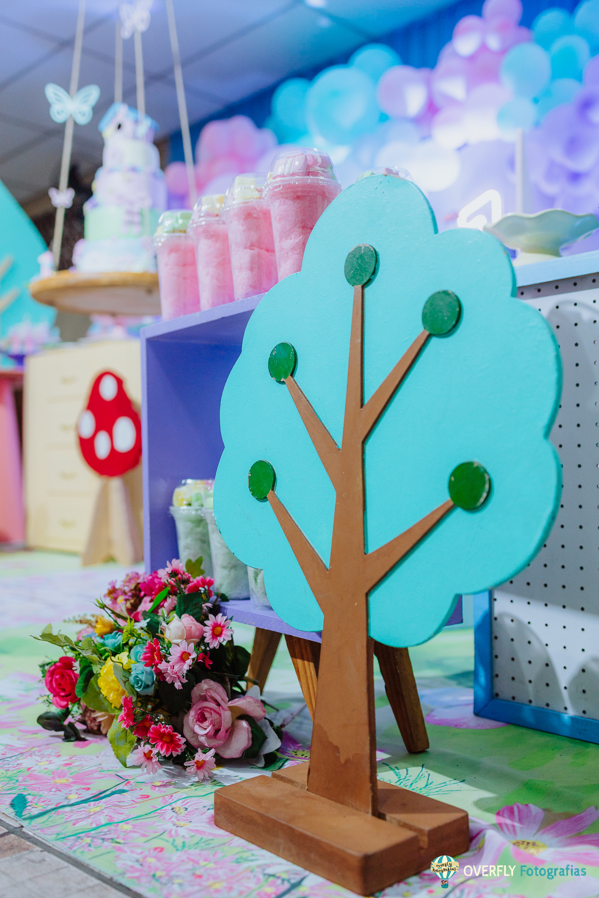 Fotógrafo de Aniversário infantil em São Gonçalo e Niterói - RJ