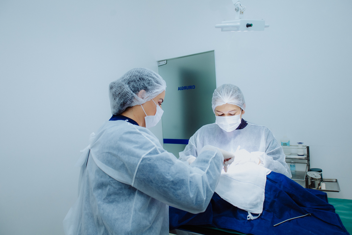 Fotógrafo para Veterinárias