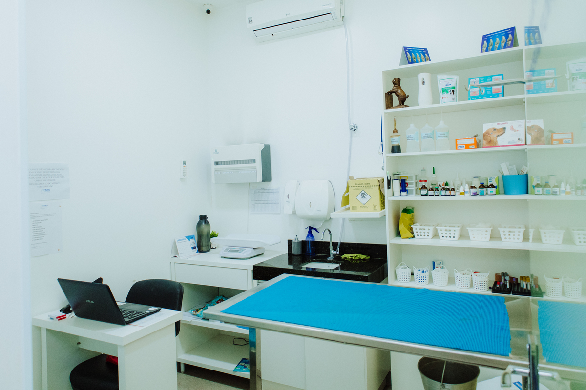 Fotografia para pet shop no Rio de Janeiro