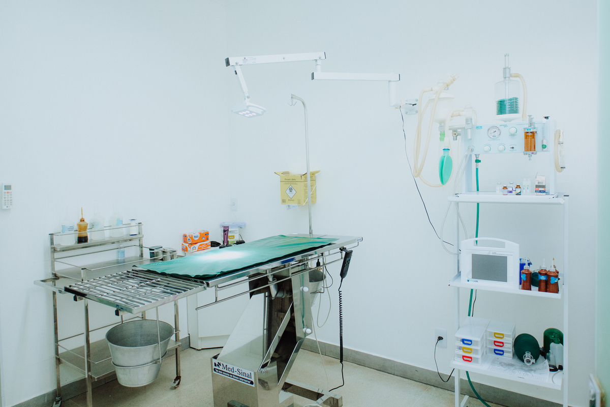 Fotografia para pet shop no Rio de Janeiro