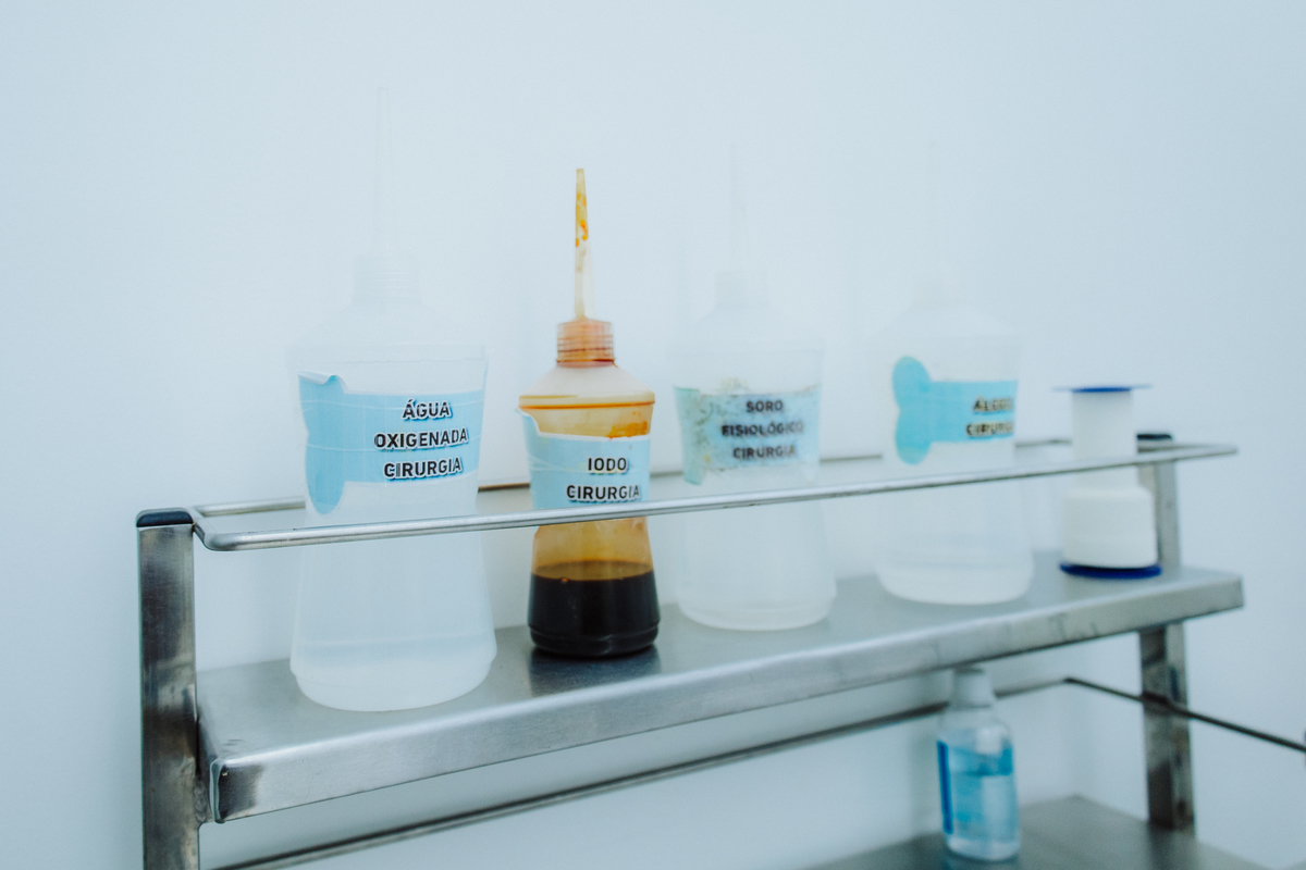 Fotografia para pet shop no Rio de Janeiro