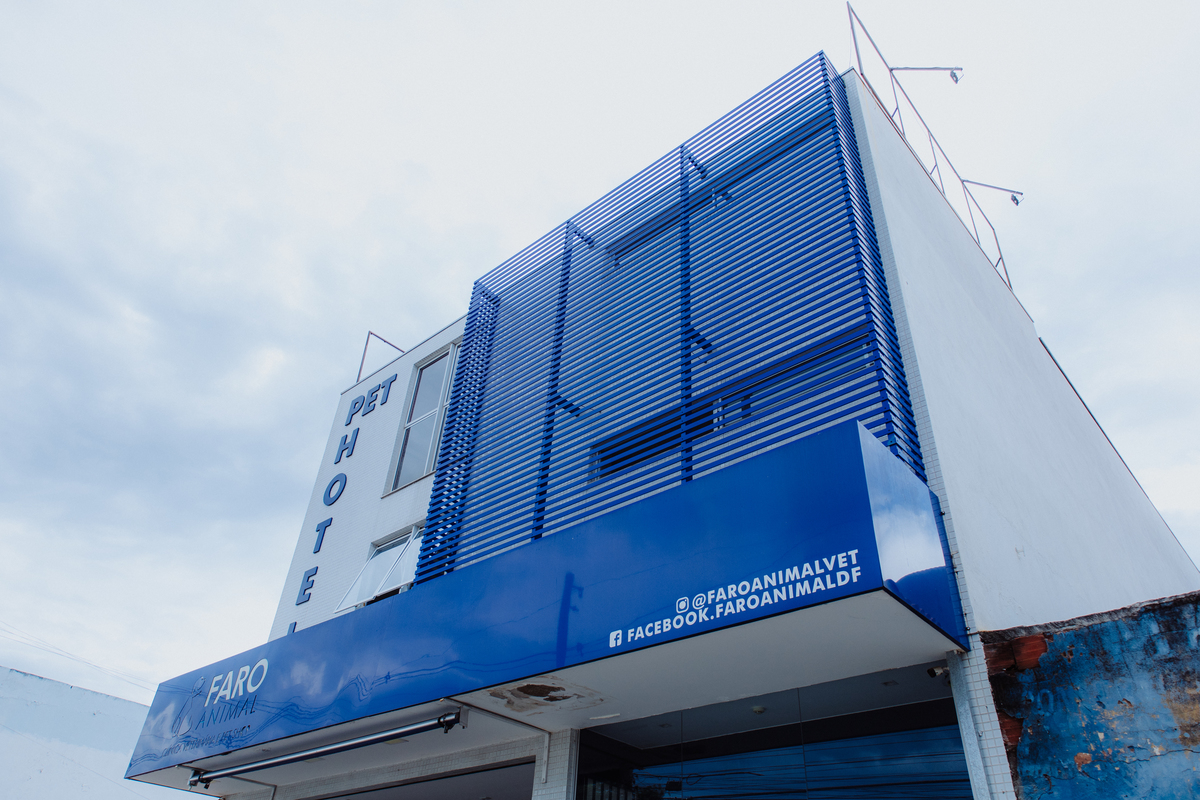 Fotografia para clínica veterinária no Rio de Janeiro