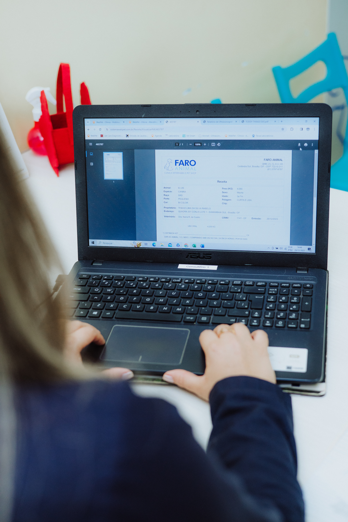 Fotógrafo Profissional para Pet SHop