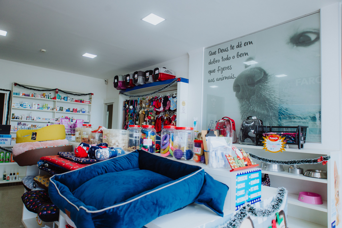 Fotografia para clínica veterinária no Rio de Janeiro