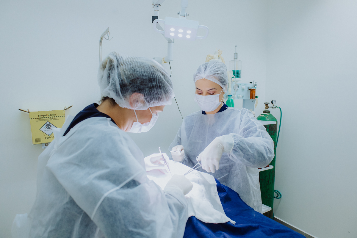 Fotografia para Clínica veterinária Faro Animal