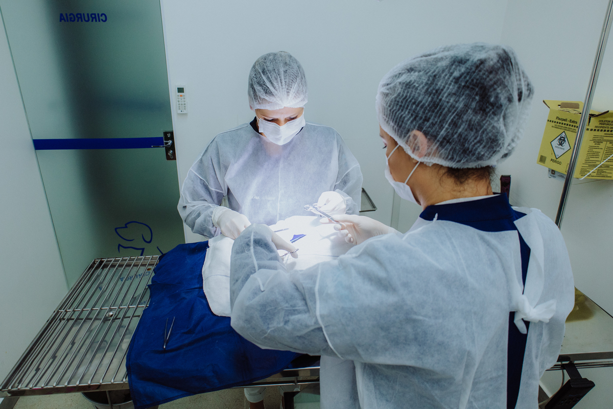 Fotografia para Clínica veterinária Faro Animal