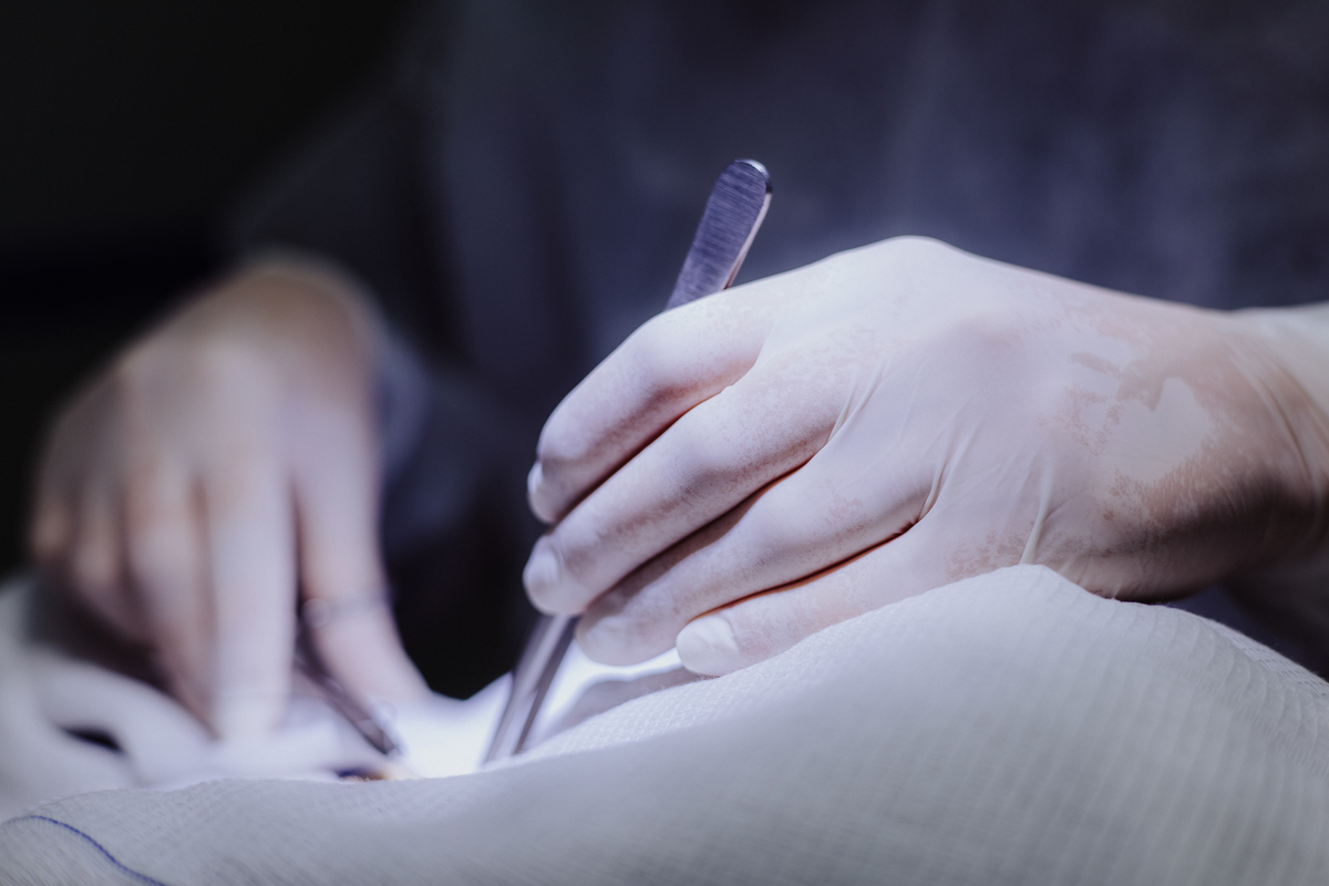 Fotógrafo para Veterinárias