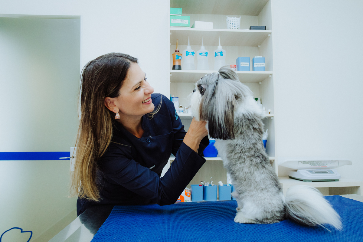 Fotógrafo para Veterinárias