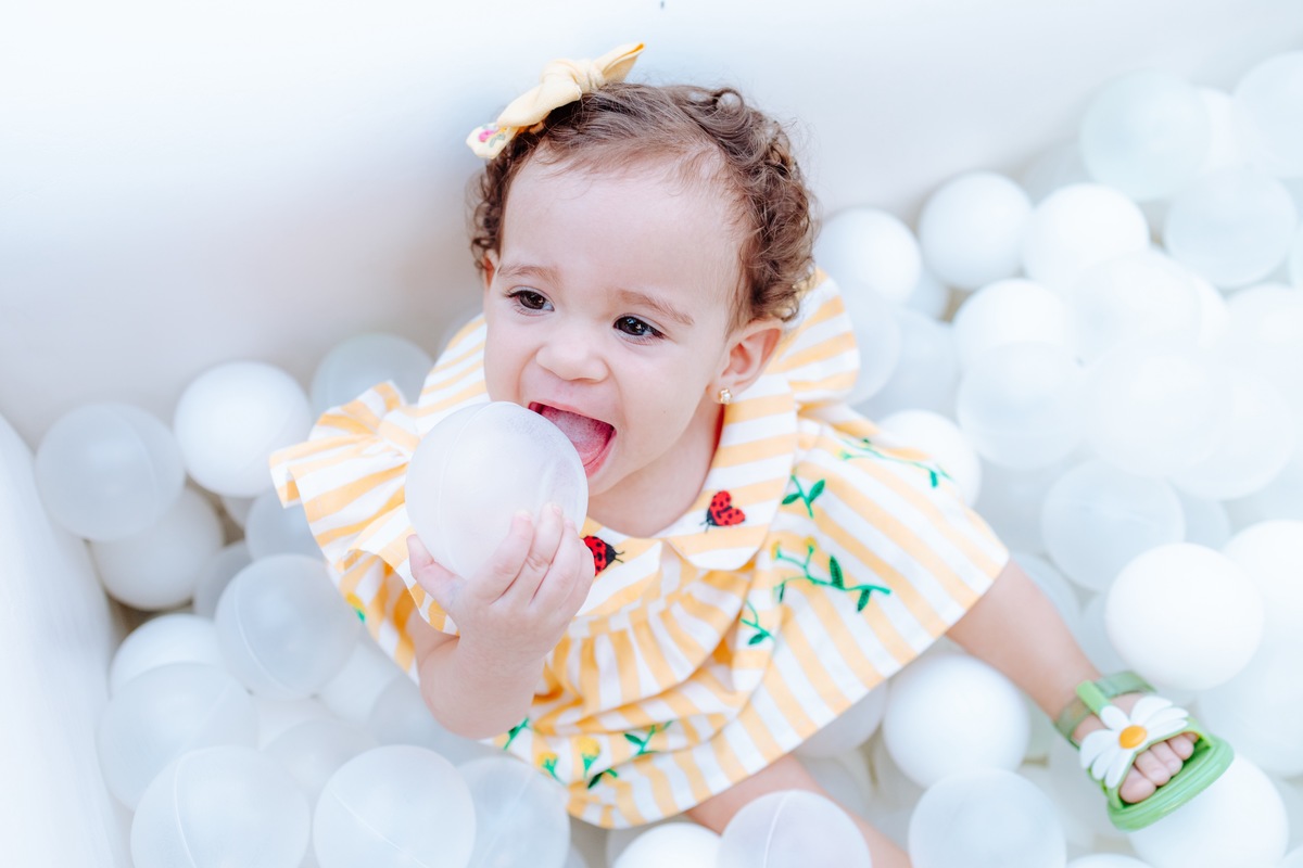 Aniversário de 1 ano ao ar livre em niterói com o tema pic nic