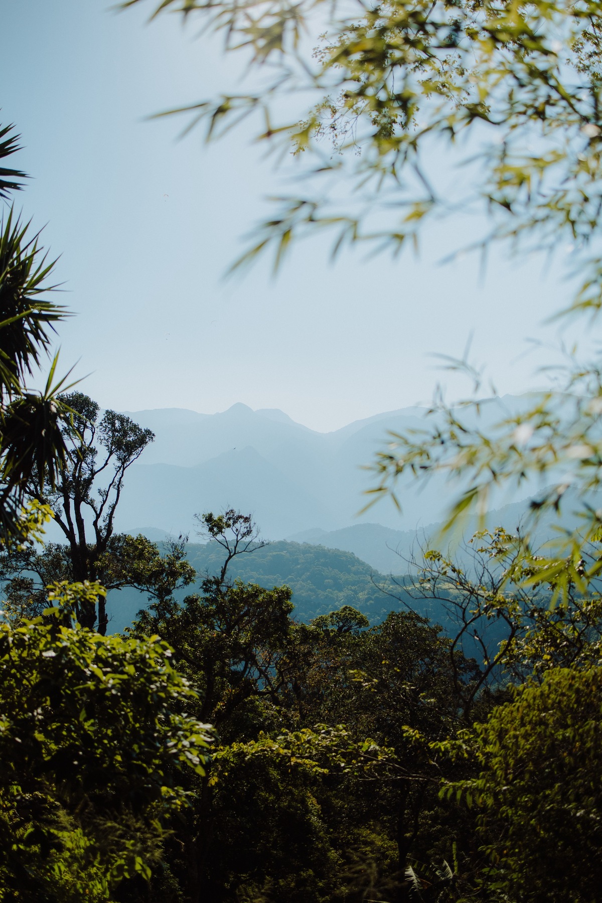 Pré Wedding na Serra