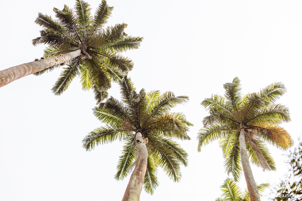 Ensaio de 15 anos no Parque Lage - RJ