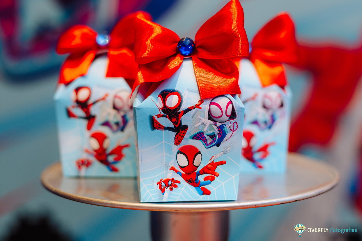 Aniversário na Casa de Festa Folia Encantada - Rio de janeiro