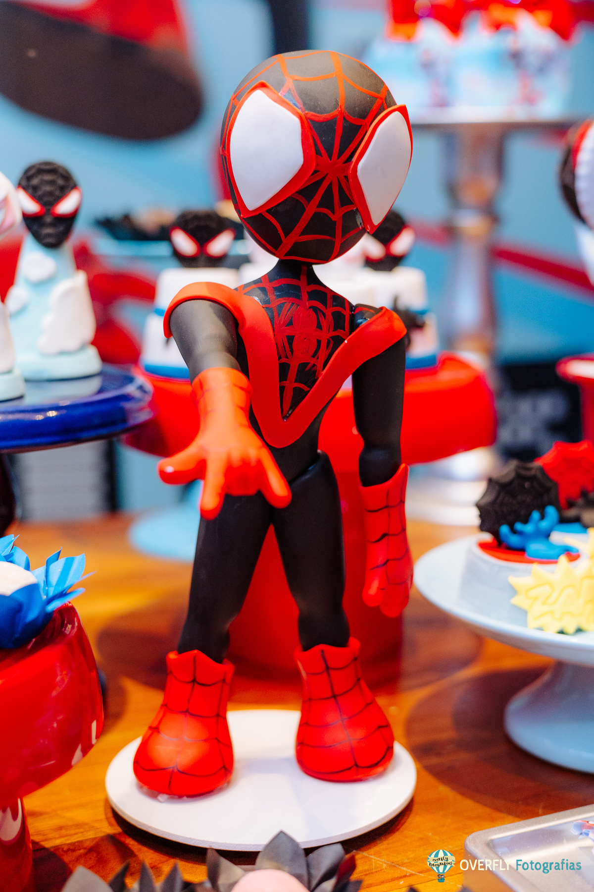 Aniversário na Casa de Festa Folia Encantada - Rio de janeiro