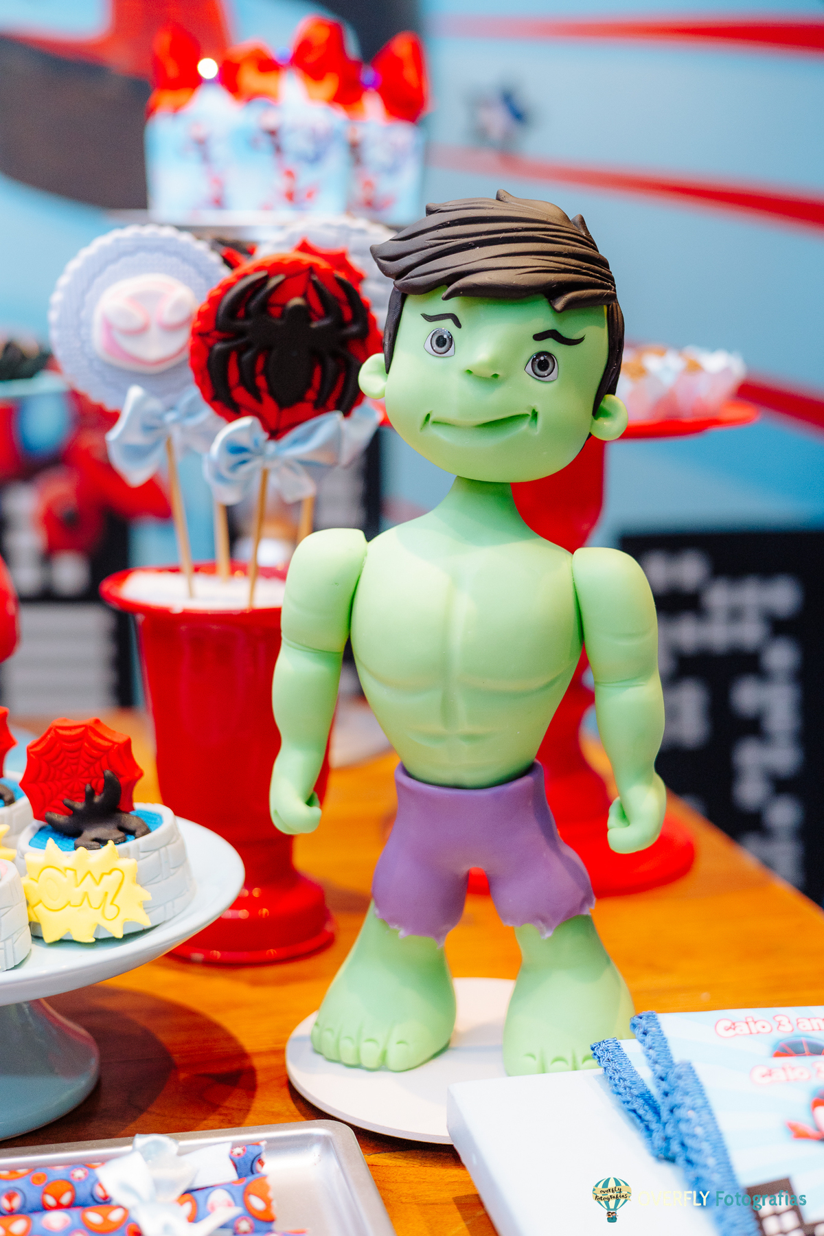 Aniversário na Casa de Festa Folia Encantada - Rio de janeiro