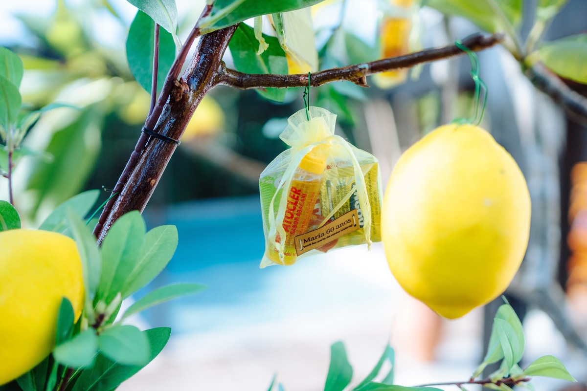 Festa no mauí Eventos em Maricá