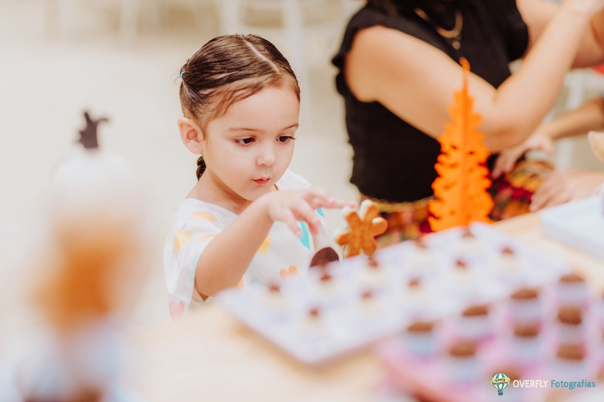 Aniversário infantil com tema frozen em icaraí niterói