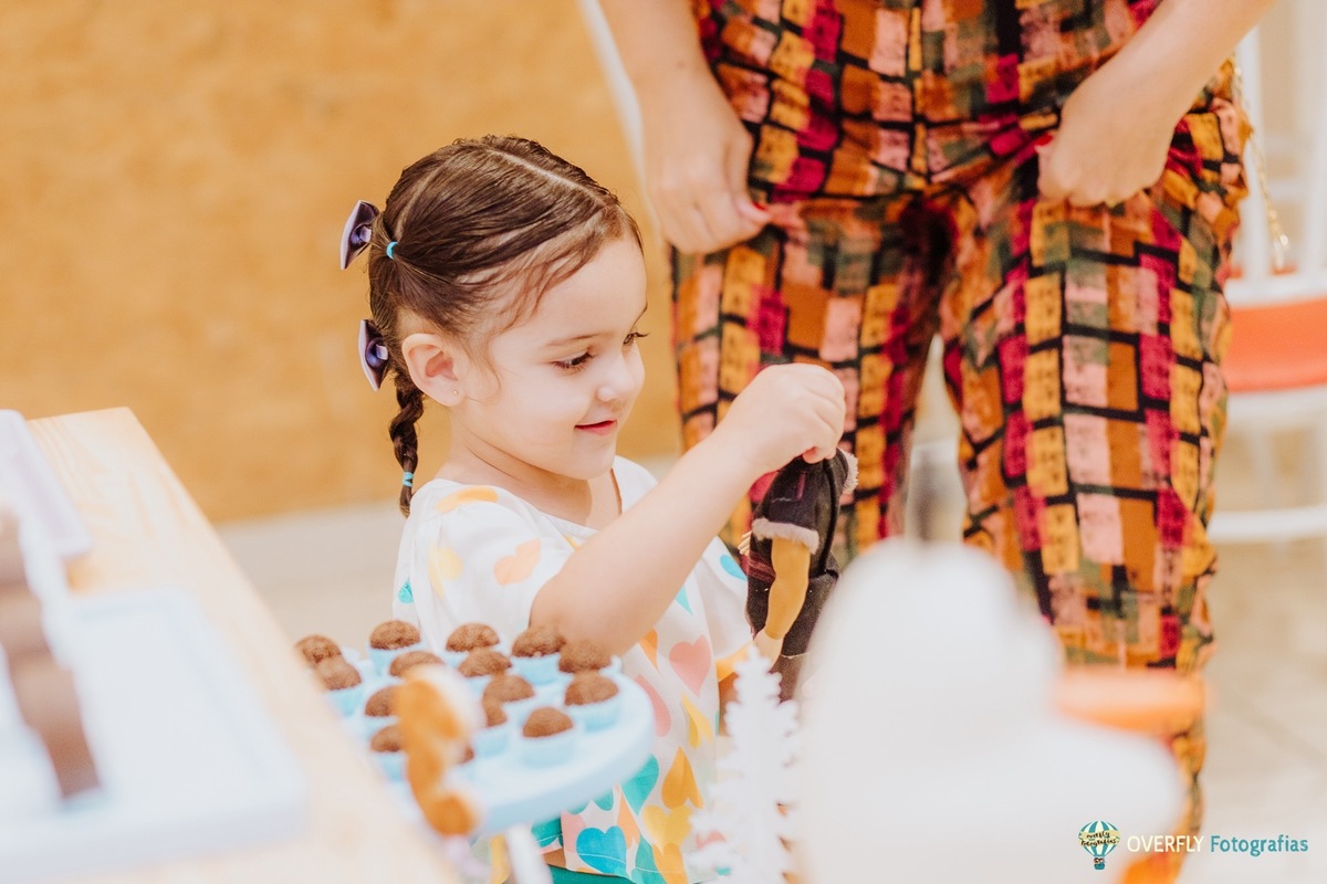 Aniversário infantil com tema frozen em icaraí niterói