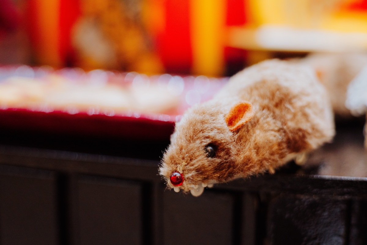  festa infantil na barra da Tijuca RJ Zipariduda