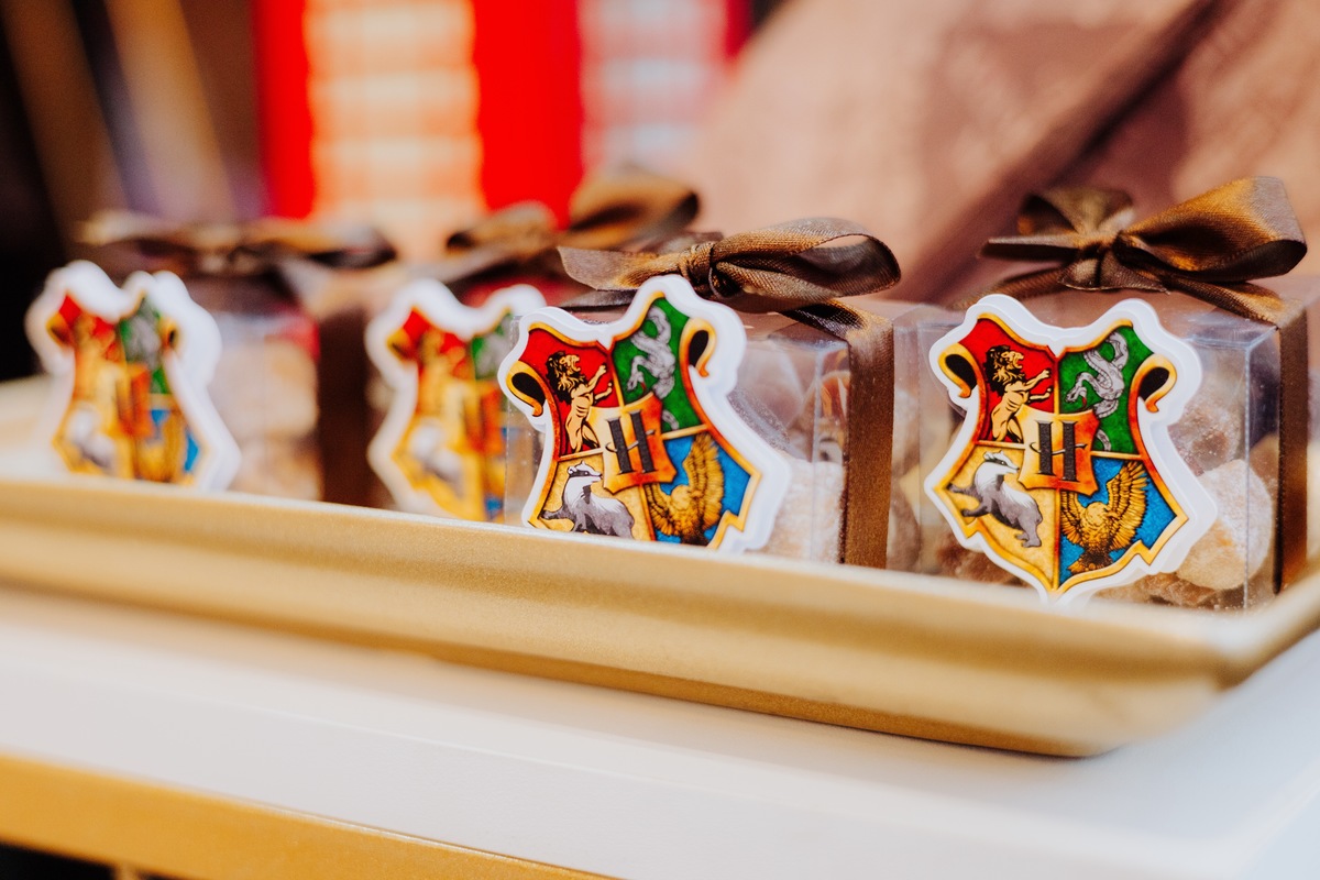  festa infantil na barra da Tijuca RJ Zipariduda