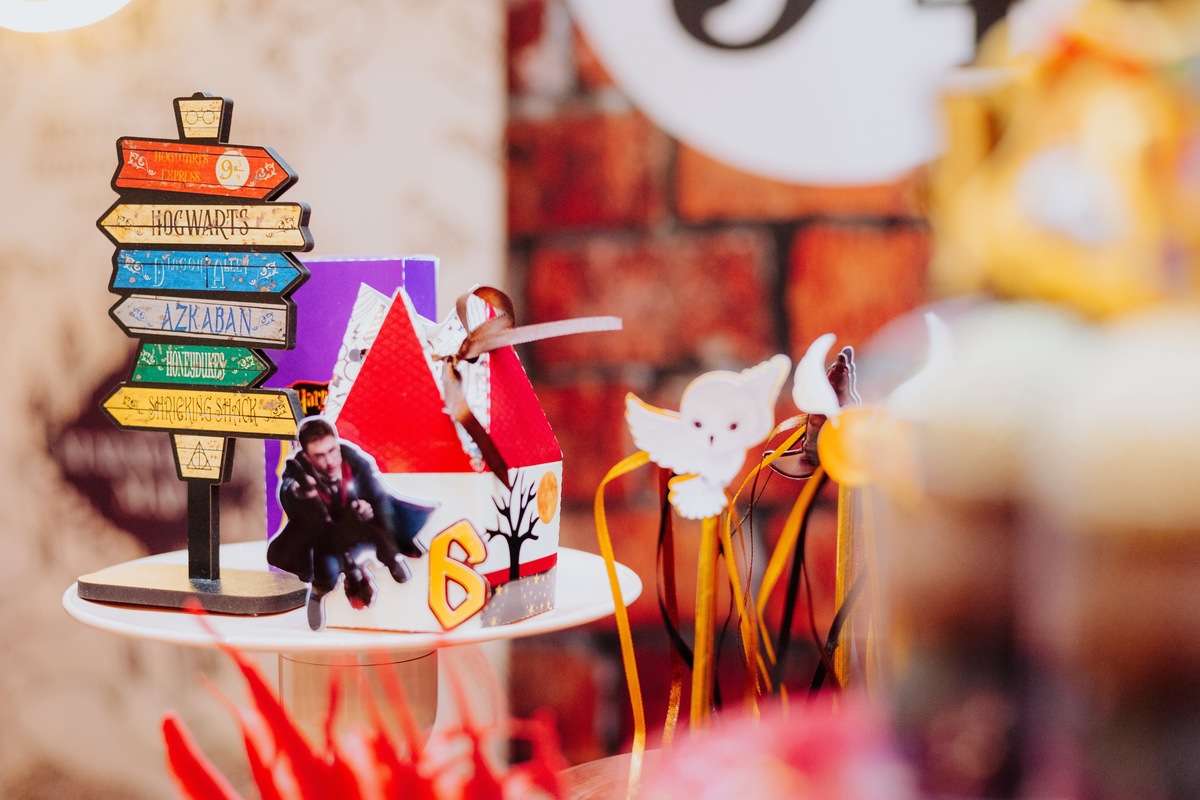  festa infantil na barra da Tijuca RJ Zipariduda