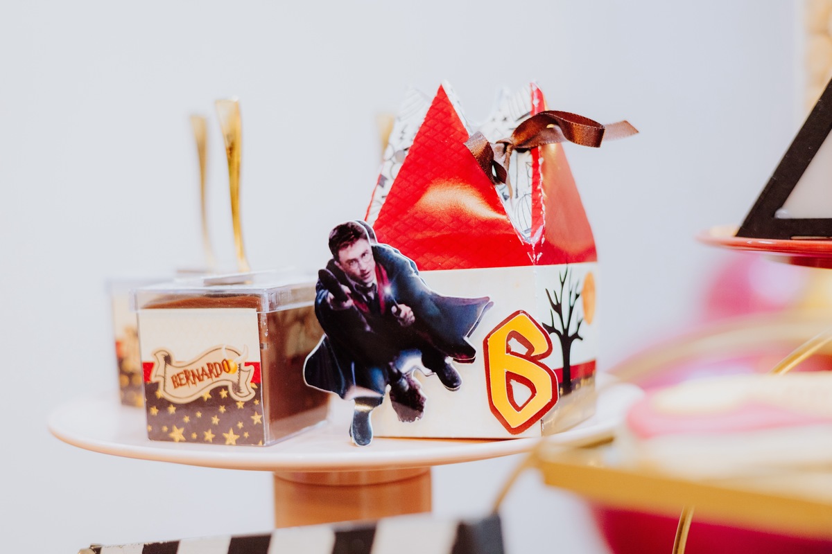 Fotografia de festa infantil na barra da Tijuca RJ