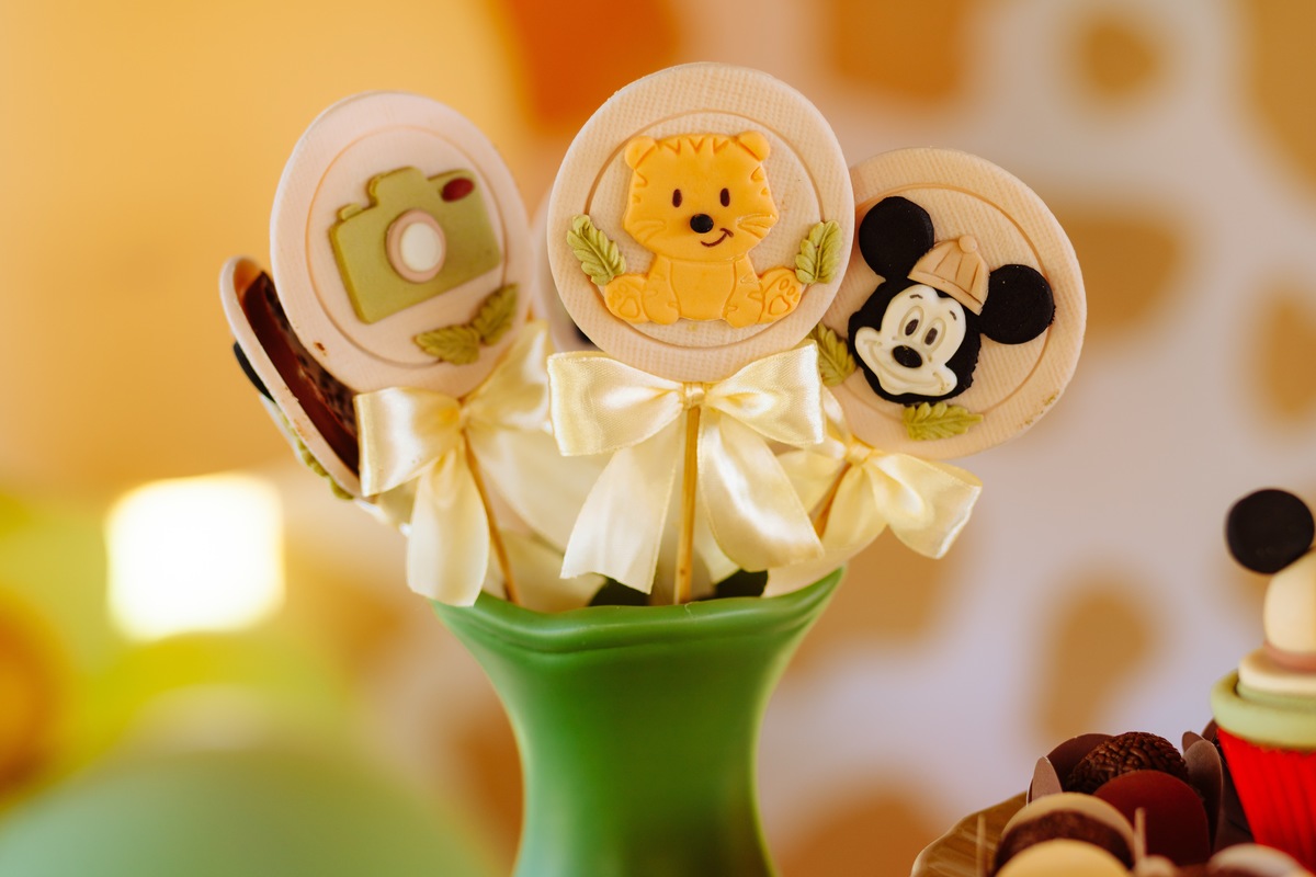 Aniversário Infantil em sítio em Rio Bonito - RJ