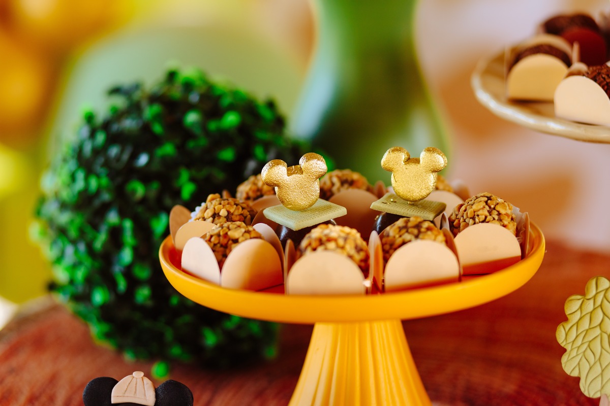 Aniversário Infantil em sítio em Rio Bonito - RJ