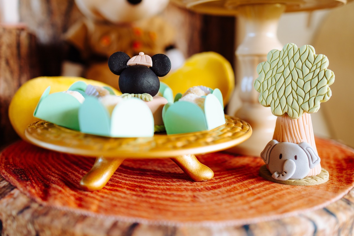 Aniversário Infantil ao ar livre em Rio Bonito - RJ