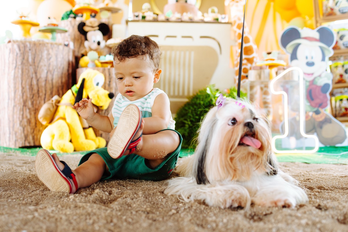 Aniversário Infantil em fazendinha no Rio de janeiro
