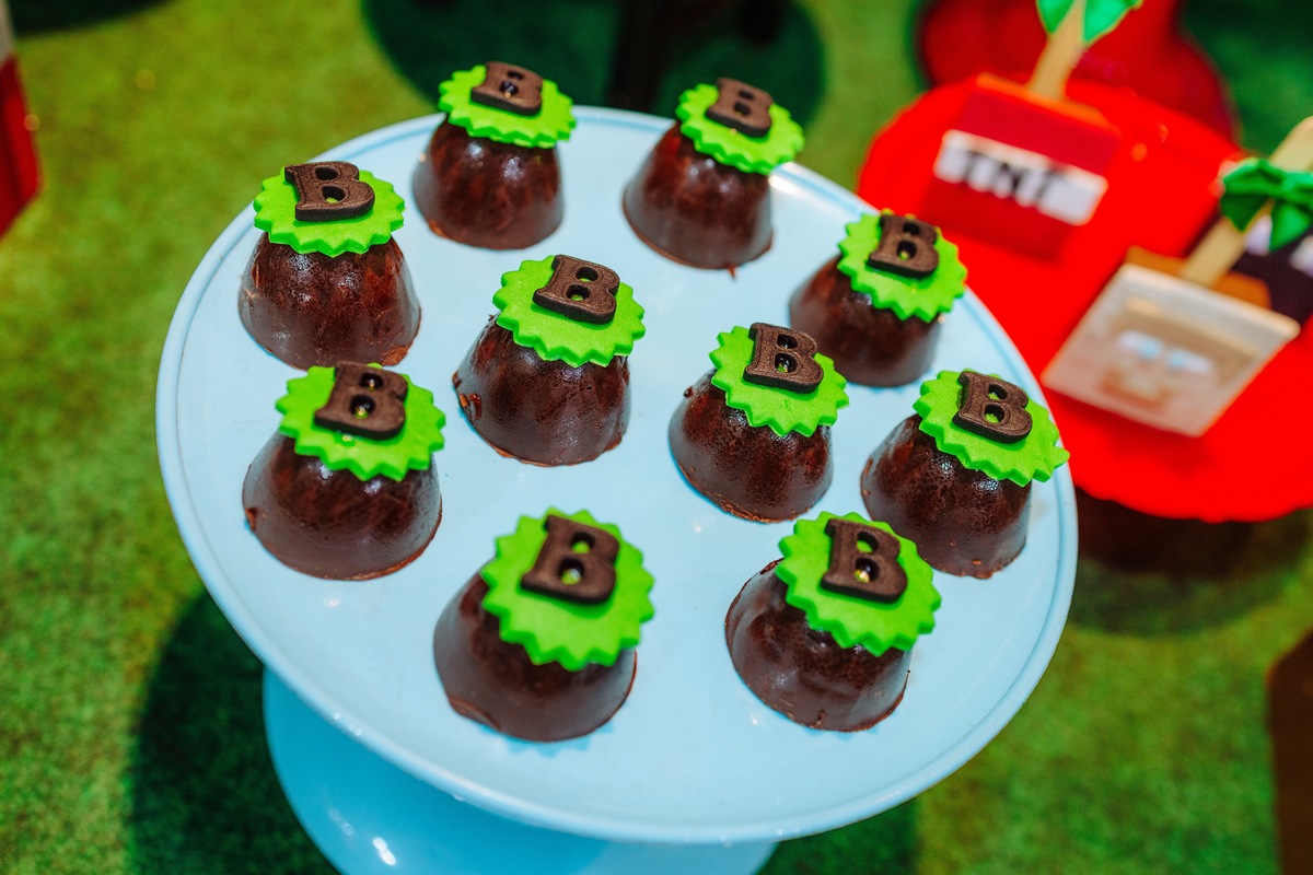 Aniversário na Festa e Aventura , Itanhangá - RJ