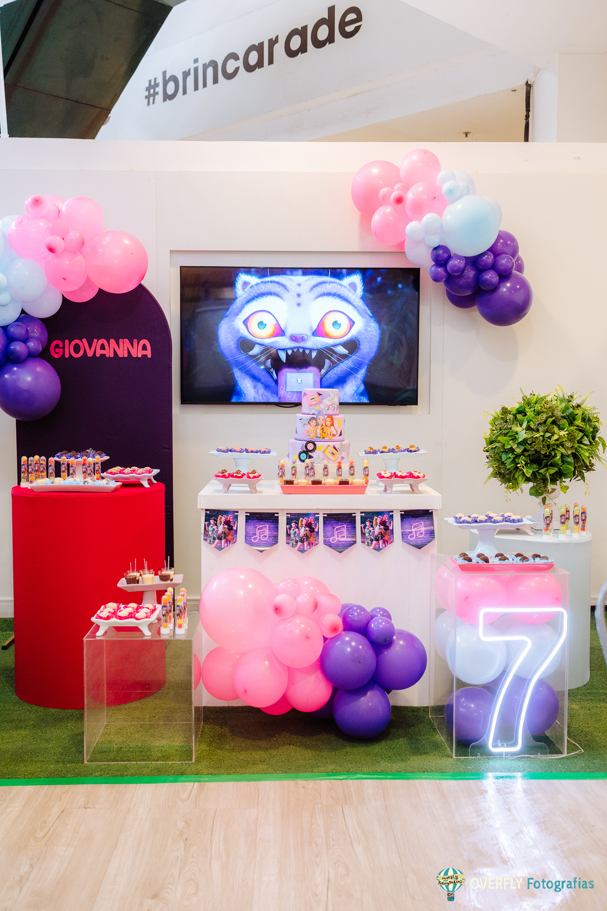 fotografia aniversário infantil Barra da Tijuca