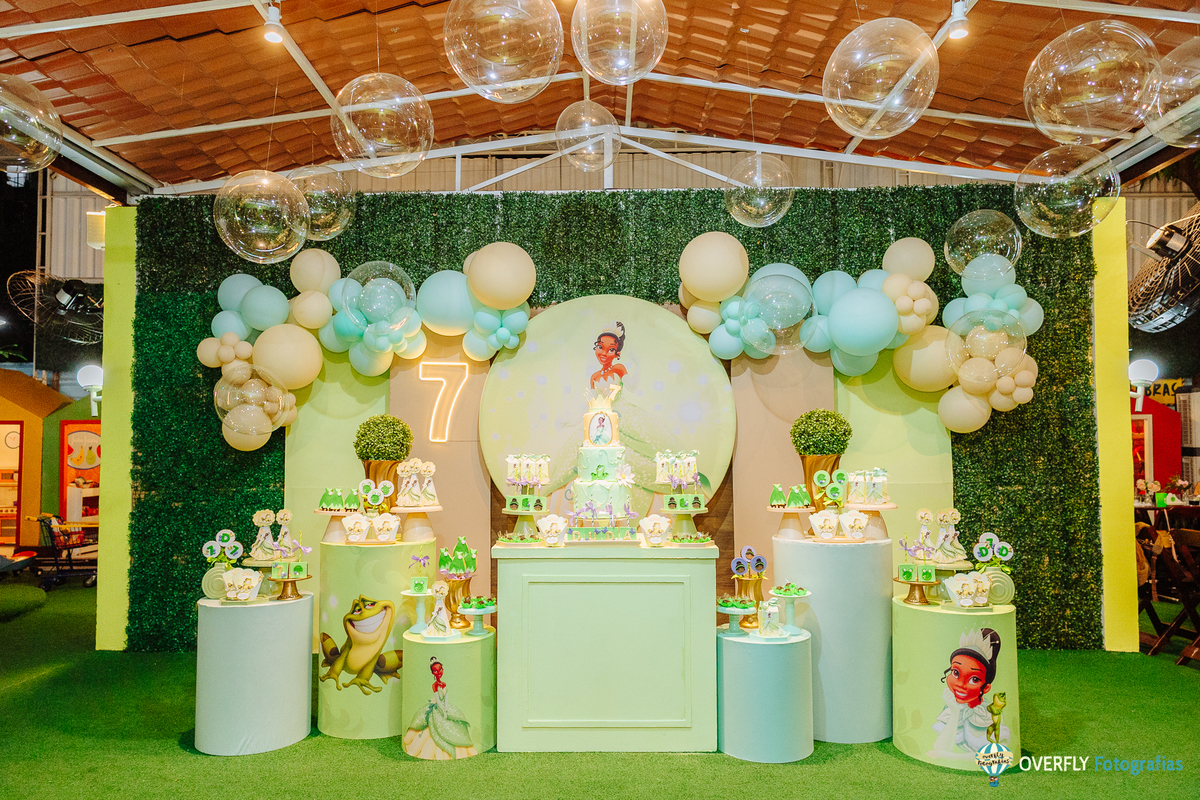 fotografia aniversário infantil Vila Pindorama