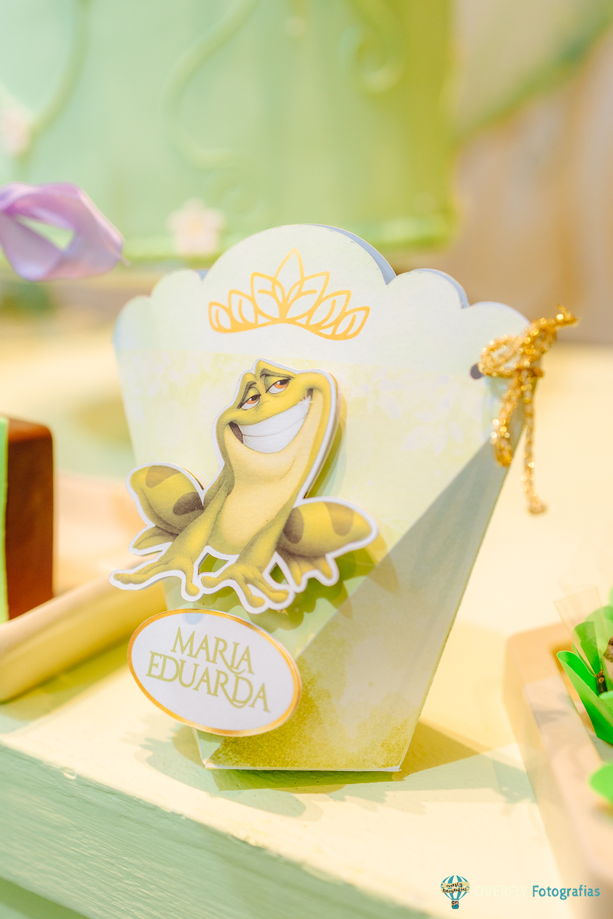 fotógrafo aniversário infantil Vila Pindorama