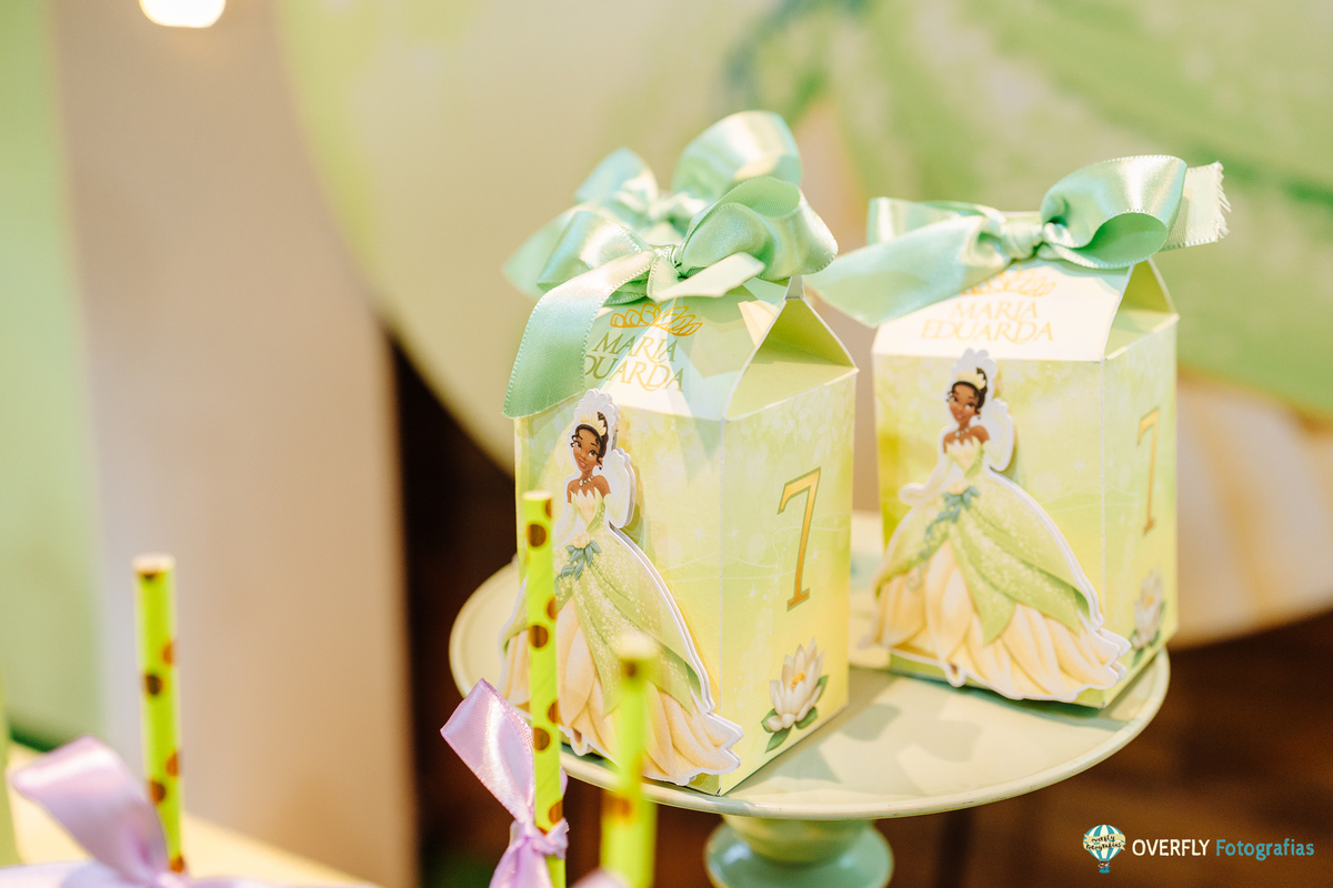 fotógrafo aniversário infantil Vila Pindorama