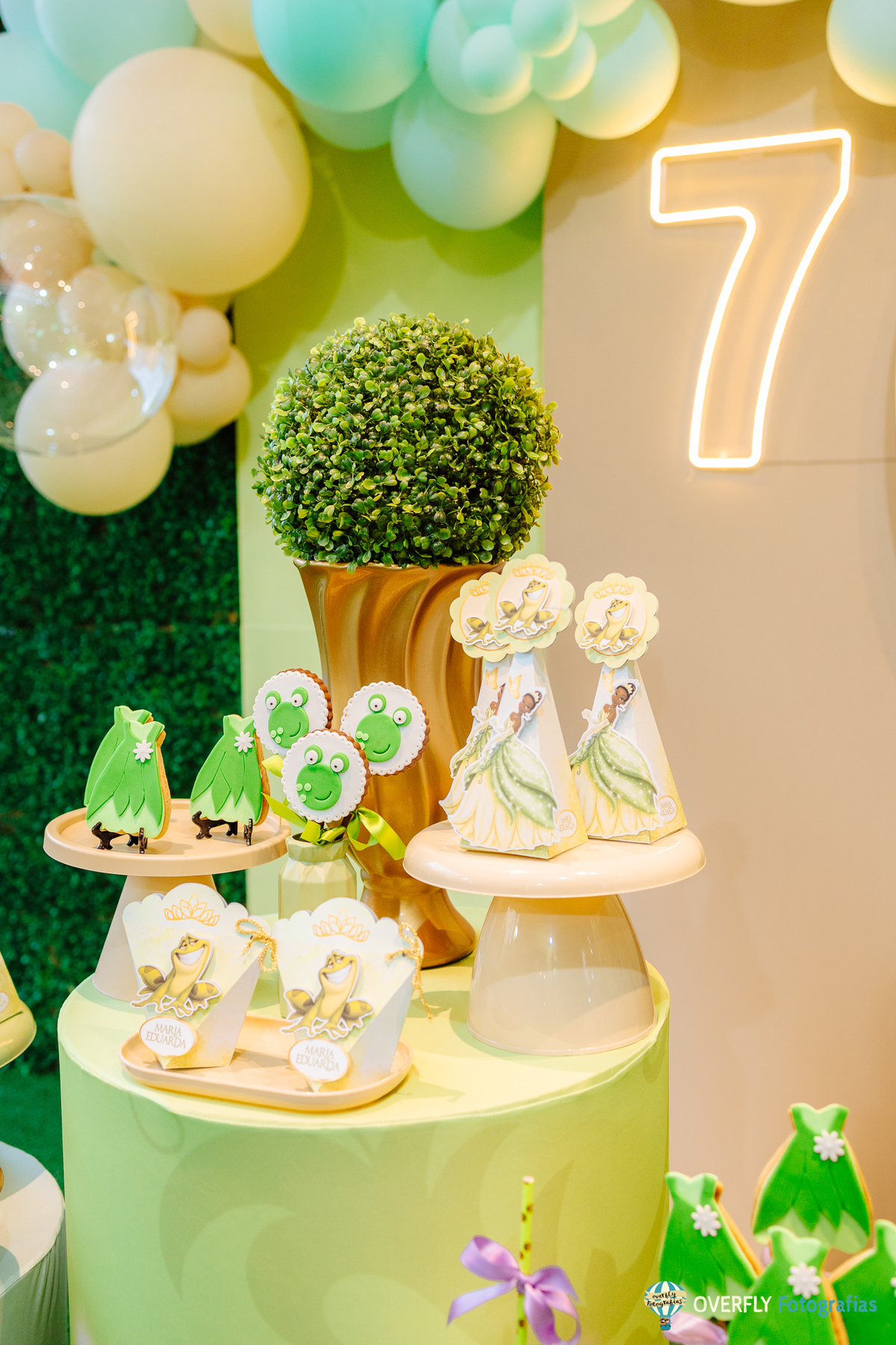 fotógrafo aniversário infantil Vila Pindorama