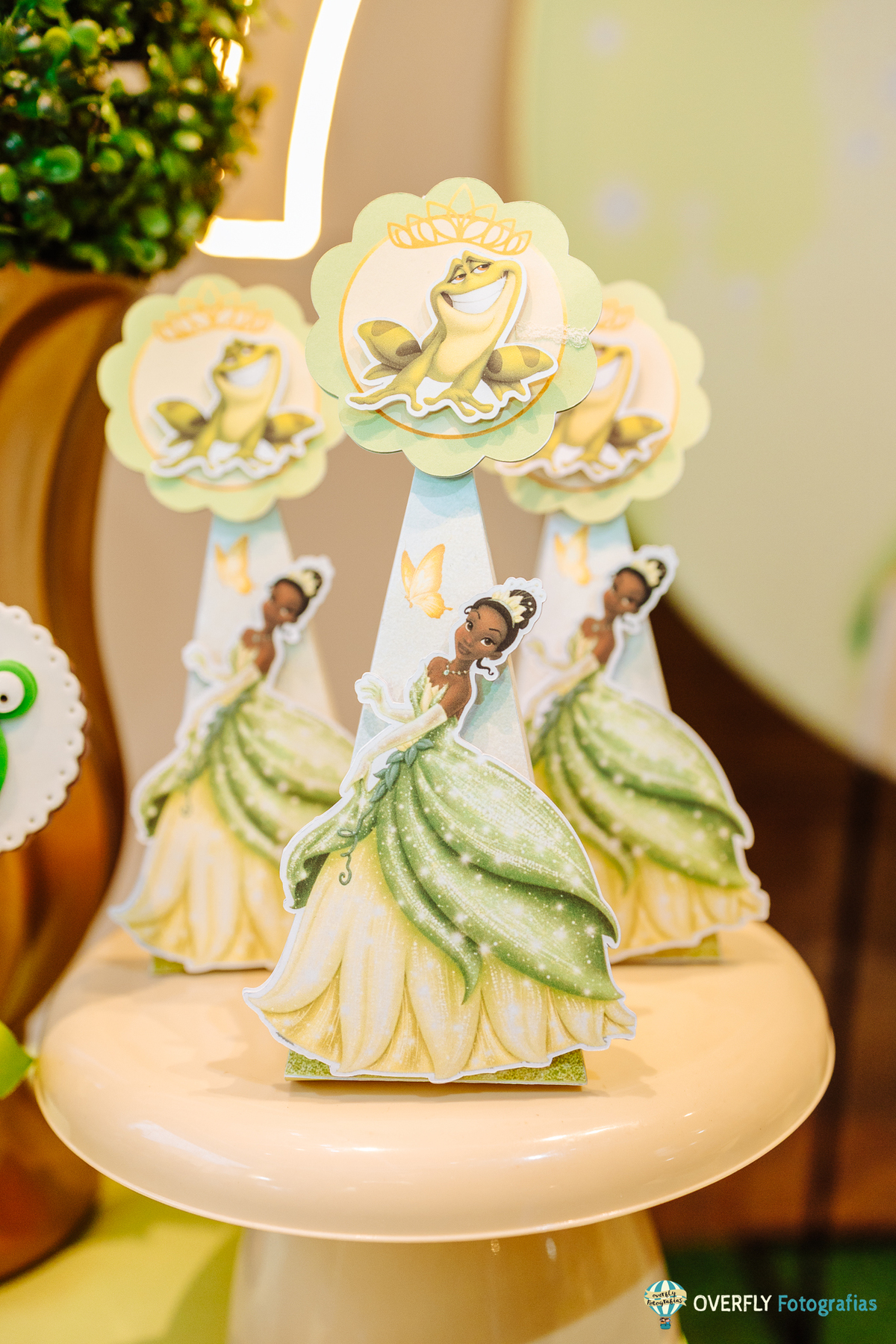 fotógrafo aniversário infantil Vila Pindorama