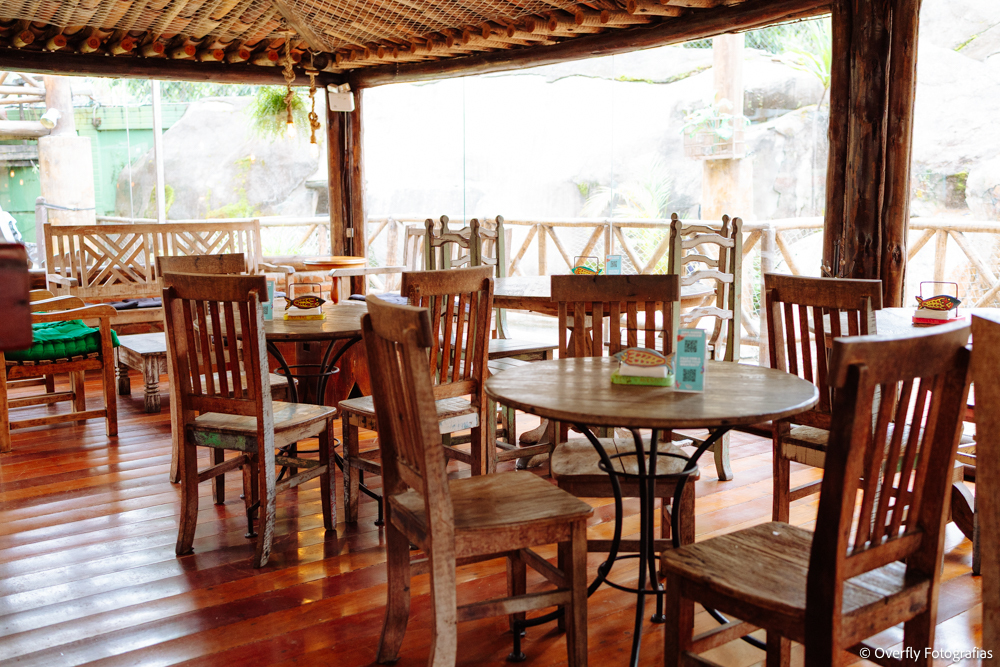 fotografia profissional aniversário infantil RJ