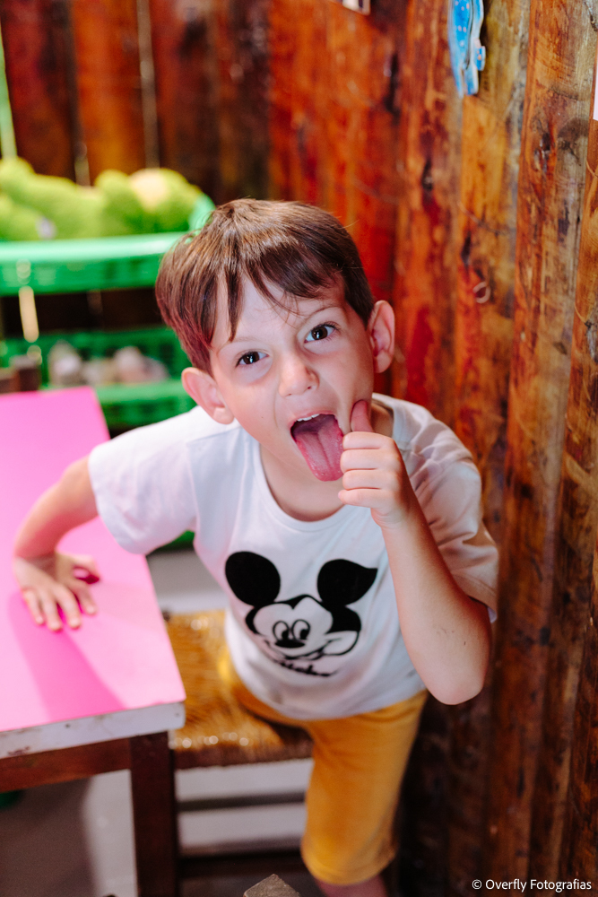 Fotografia Infantil no Joá, Itanhangá, Barra da Tijuca, Botafogo, Zona Zul e casas de festas infantis com brinquedos no rio de janeiro e niterói