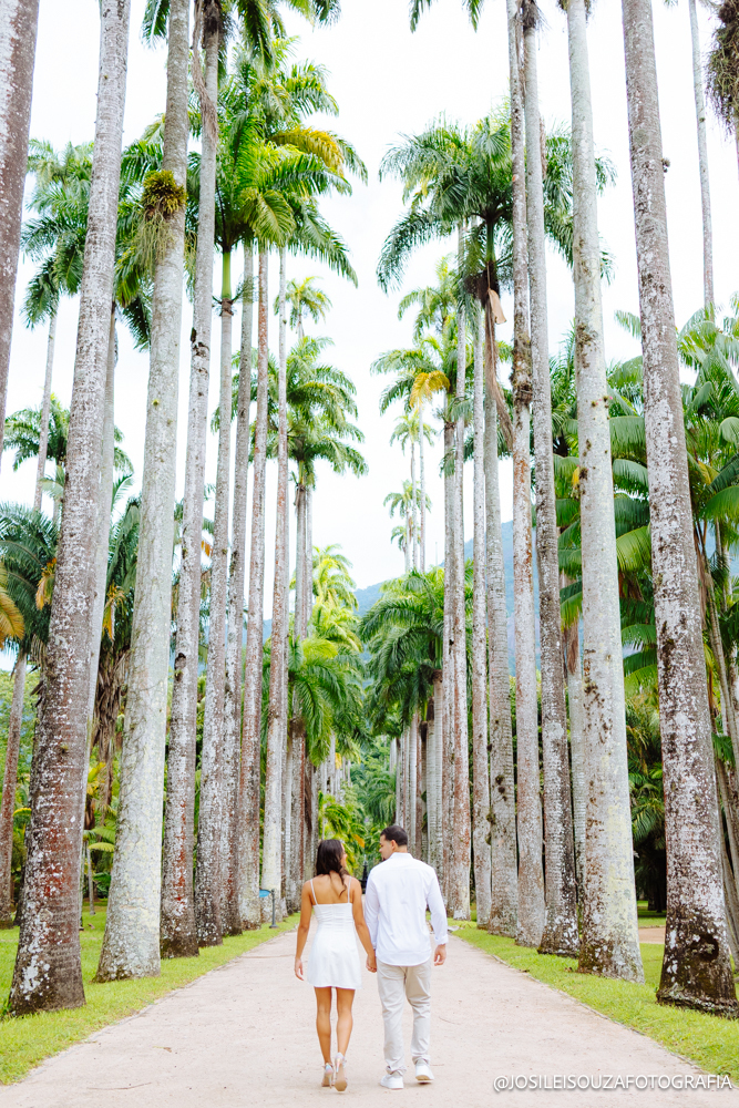 fotos no Jardim Botânico RJ