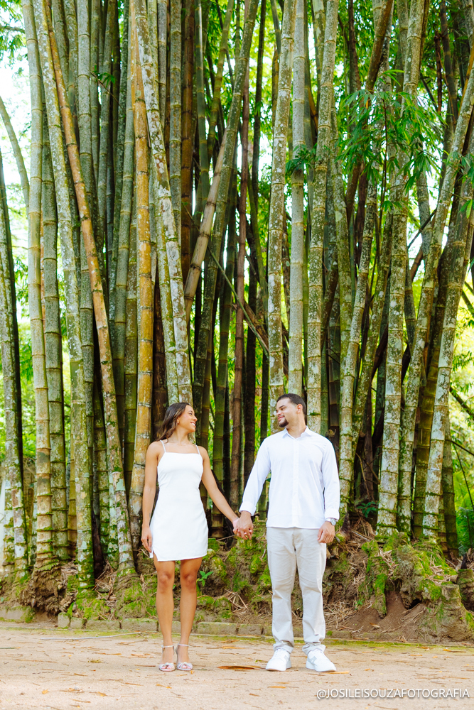 Ensaio pré-wedding no Jardim Botânico RJ de Laura e Matheus