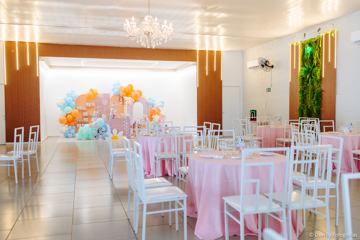 fotografia de aniversário infantil RJ