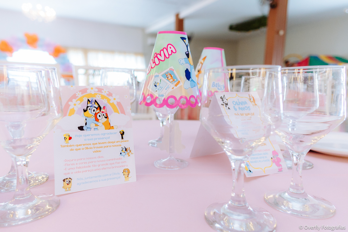 fotografia de aniversário infantil RJ