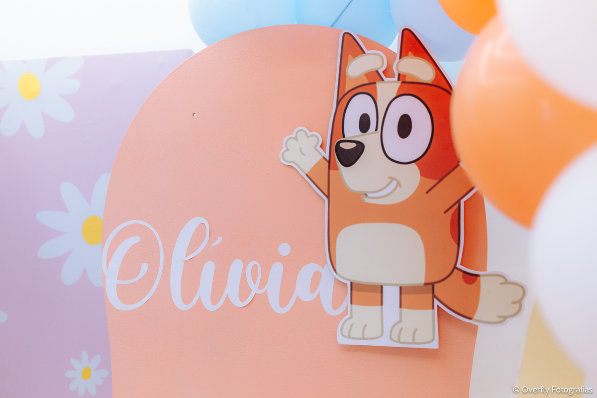 fotógrafo festa infantil Ita Prime Itaboraí