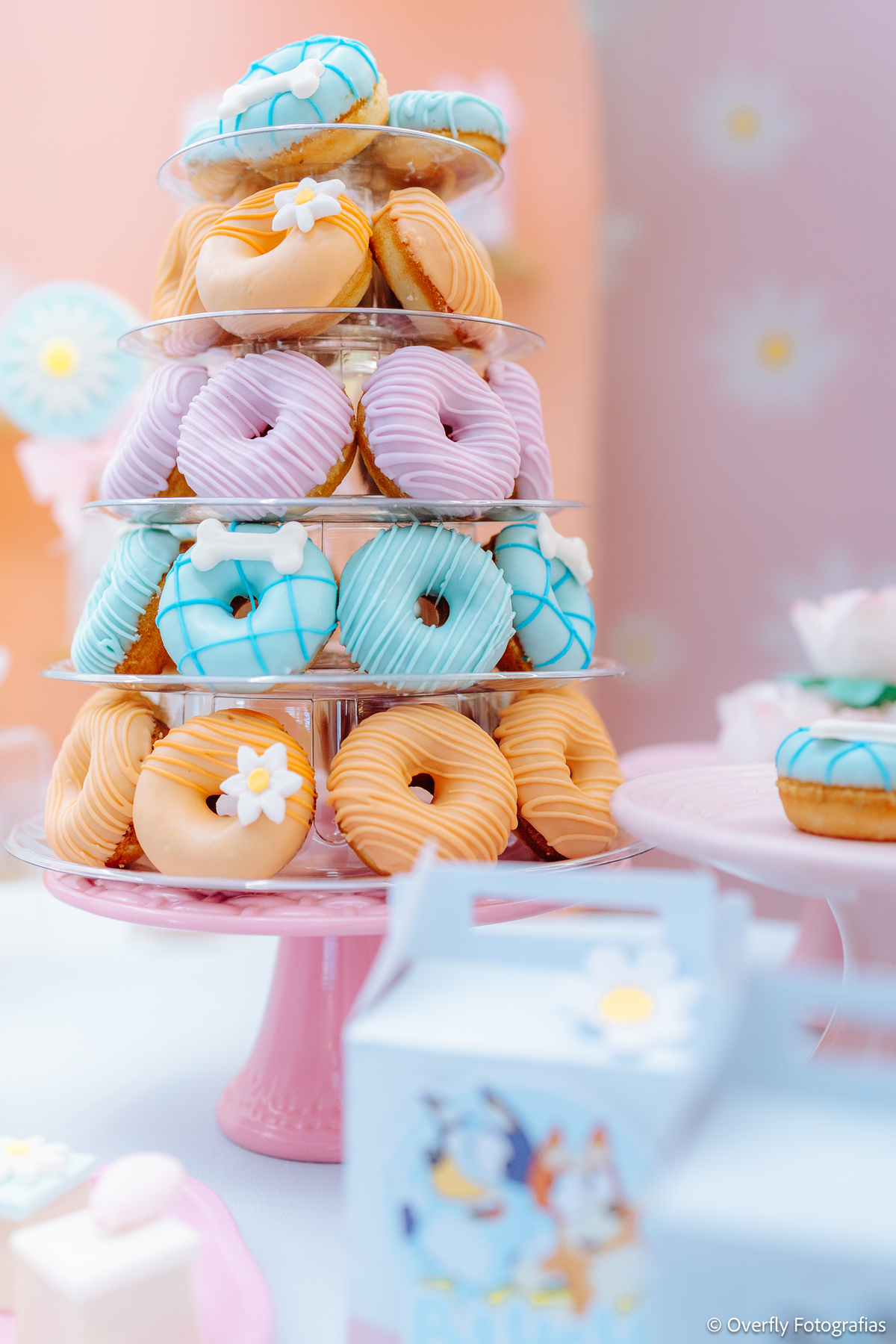 “fotógrafo infantil em Itaboraí”