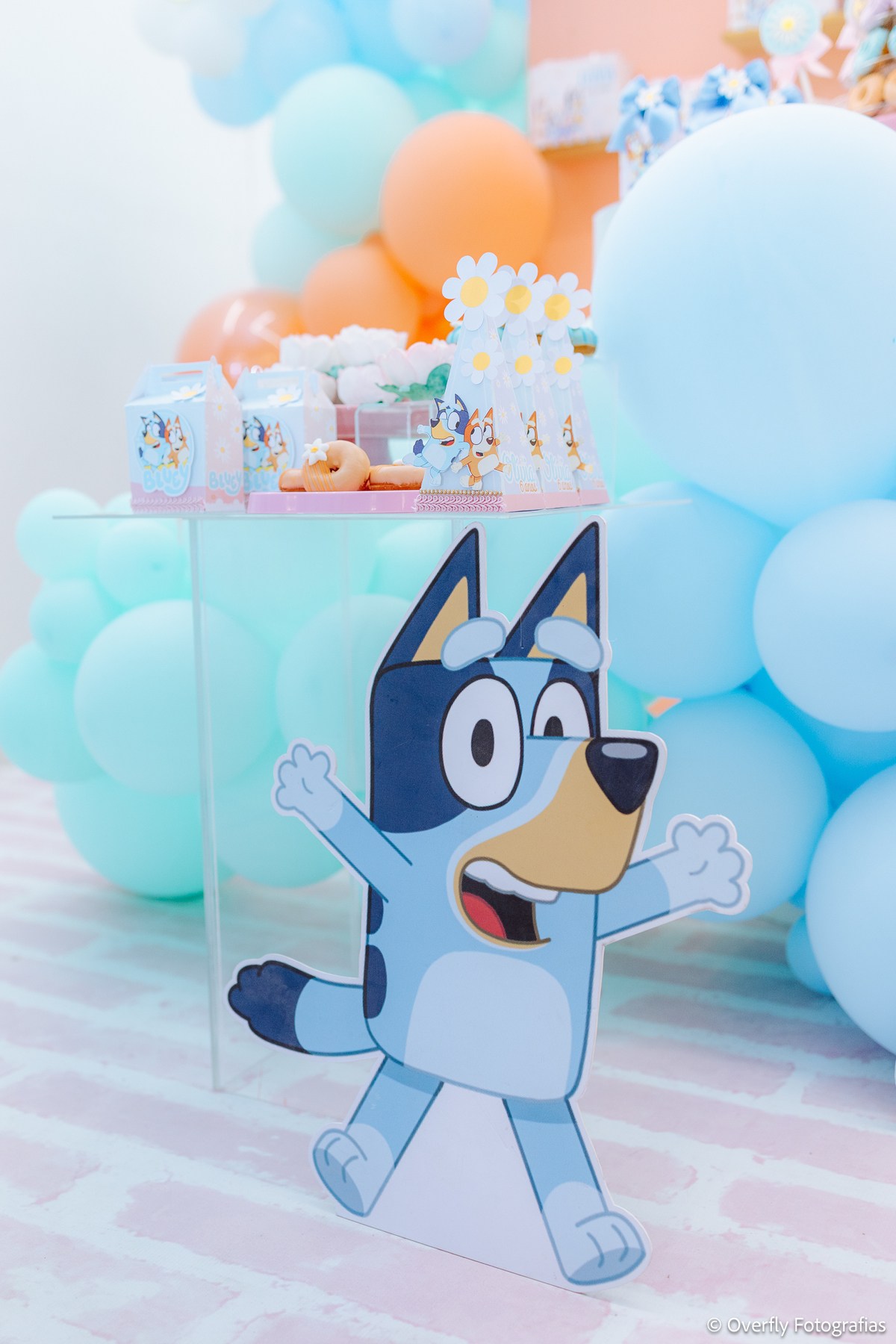 “aniversário infantil Itaboraí RJ”