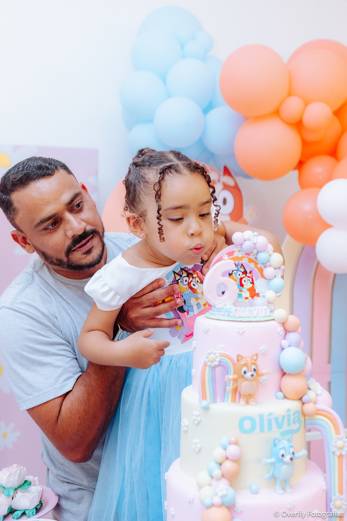 aniversário infantil Olívia Itaboraí