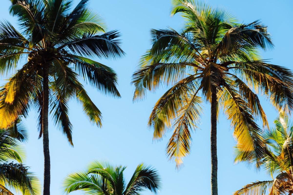 Fotografia de pré wedding na Praia Vermelha