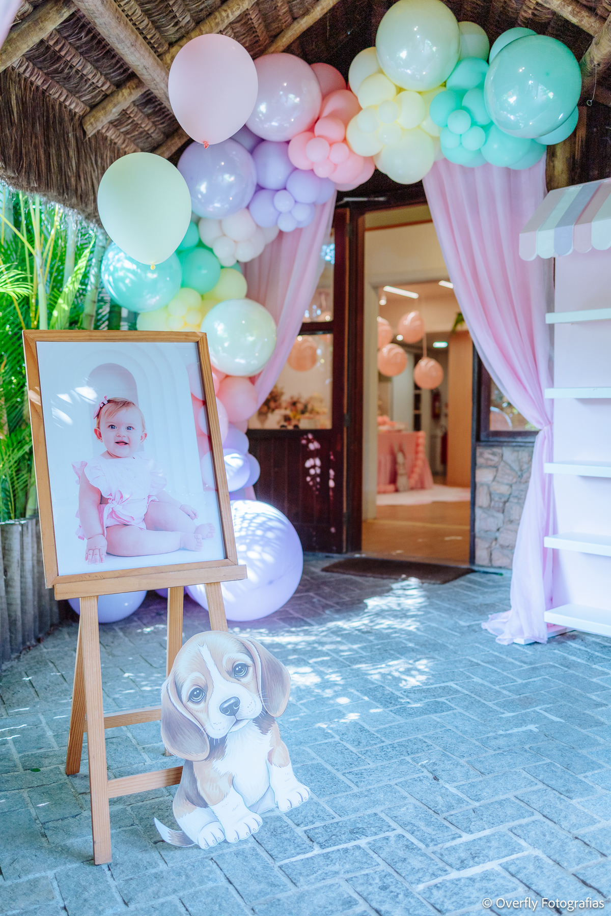 fotógrafo festa infantil RJ