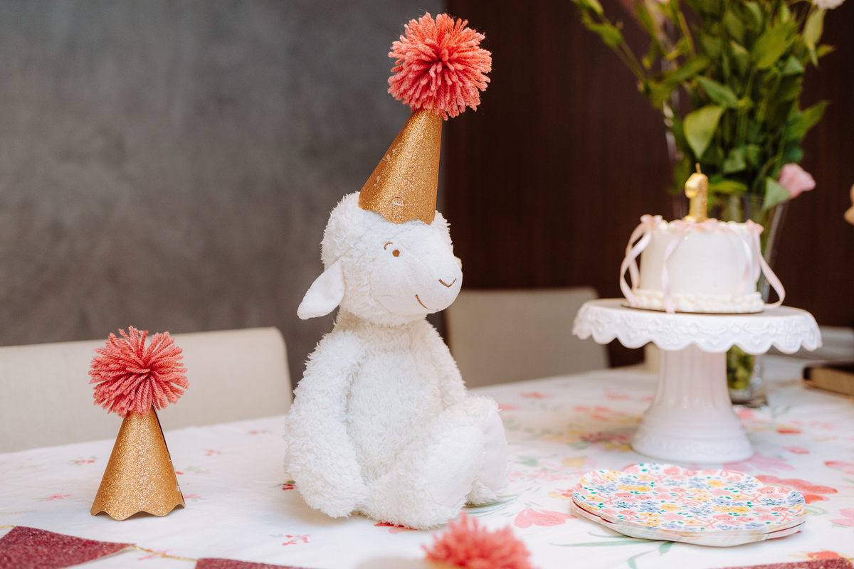 fotógrafo para aniversário infantil em Niterói