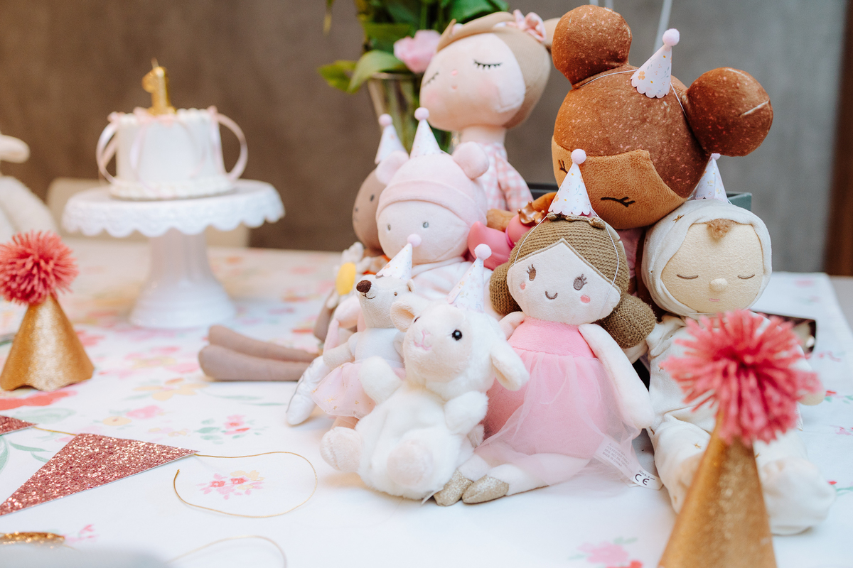 fotógrafo para aniversário infantil em Niterói